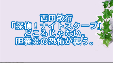 西田敏行 探偵 ナイトスクープ どころじゃない 胆嚢炎の恐怖が襲う スポーツ 芸能 の気になるニュース